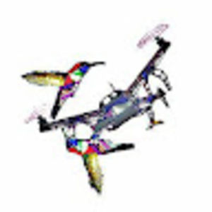 Meet your Posher, Two birds